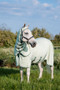 Horseware Rambo Hoody XL-Green/Sage