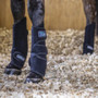 LeMieux Tendon Chill Boots - Lifestyle