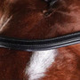 Collegiate ComfiTec Training Bridle in Black - Browband Detail
