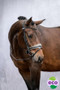 GP Bridle - Black/White