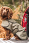 Le Chameau Dog Coat - Vert Chameau - Lifestyle