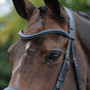 Collegiate ComfiTec Vogue Anatomical Bridle - Black - Browband Detail