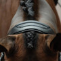 Collegiate ComfiTec Vogue Anatomical Bridle - Black - Headpiece Detail