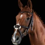 Collegiate ComfiTec Grackle Bridle - Brown