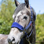 LeMieux Vogue Fleece Headcollar and Leadrope on horse in Ink Blue