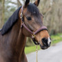 LeMieux Leather Stitched Headcollar - Brown - Lifestyle