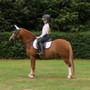 Little Rider Dazzling Dream Fly Veil in Navy/Pastel