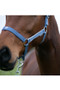 Hy Equestrian Synergy Headcollar - Riveria/Silver - Horse Close Up