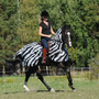 Bucas Buzz Off Riding Fly Rug