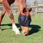 Equilibrium Field Relief Midi Fly Mask With No Ears - Black/Orange