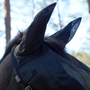 Equilibrium Net Relief Riding Mask - Black - Lifestyle