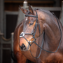 GARA Mexican Bridle Black