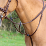 GARA Running Martingale - Havana