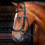 RAPIDA Ergonomic Curved Cavesson Bridle - Black