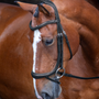 RAPIDA Ergonomic Curved Flash Bridle - Black