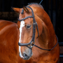 RAPIDA Ergonomic Curved Flash Bridle - Havana