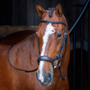 RAPIDA Ergonomic Flash Bridle in Havana - Lifestyle