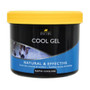 Lincoln Cool Gel 400g