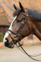 Mark Todd Performance Flash Bridle with Brass Fittings - Havana