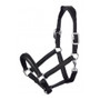LeMieux Anatomic Headcollar in Black