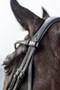 LeMieux Dressage Bridle - Black - Detail - Lifestyle