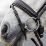 LeMieux Dressage Bridle - Brown - Detail 2 - Lifestyle