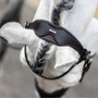 LeMieux Dressage Bridle - Brown - Detail 1 - Lifestyle