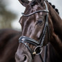 LeMieux Dressage Bridle - Black - Lifestyle