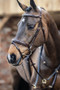 LeMieux Competition Flash Bridle - Brown - Lifestyle