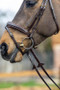 LeMieux Competition Flash Bridle - Brown - Detail 2 - Lifestyle