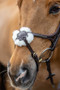 LeMieux Grackle Bridle - Havana - Detail 1 - Lifestyle