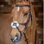 LeMieux Grackle Bridle - Havana - Lifestyle