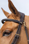 LeMieux Work Bridle - Brown - Detail 1- Lifestyle