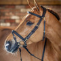LeMieux Work Bridle - Brown- Lifestyle
