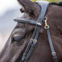 LeMieux Work Bridle - Black - Detail 2- Lifestyle
