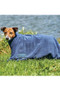 WeatherBeeta Comfitec Dry Dog Bag -navy