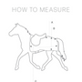 Measurement Guide