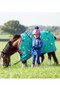 Shires Tikaboo Turnout Rug 100g - Green - Lifestyle