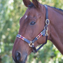 Shires Velociti GARA Leather Polo Headcollar Turquoise/Red/Orange/Blue