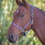 Shires Velociti GARA Leather Polo Headcollar Red/Navy