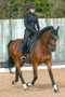Coldstream Ladies Ednam Riding Tights in Black - front lifestyle