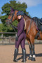 Coldstream Ladies Ednam Riding Tights in Mulberry Purple - back lifestyle
