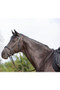 Kieffer Ultrasoft Snaffle Bridle in brown