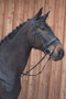 Kieffer Ergonomic Line III Snaffle Bridle in Black