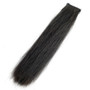 Supreme Products False Forelock in Natural Black