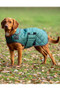 Digby & Fox Heritage Dog Coat - Forest - Lifestyle