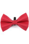 Digby & Fox Bow Tie - Red