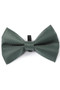 Digby & Fox Bow Tie - Forest