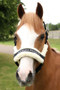 Supreme Products Royal Occasion Headcollar in Black - front
