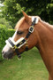 Supreme Products Royal Occasion Headcollar in Black - side
